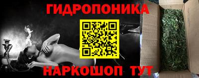 гашик Нягань