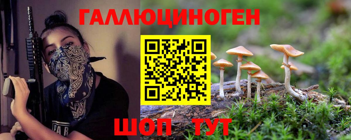 Псилоцибиновые грибы мухоморы Сочи