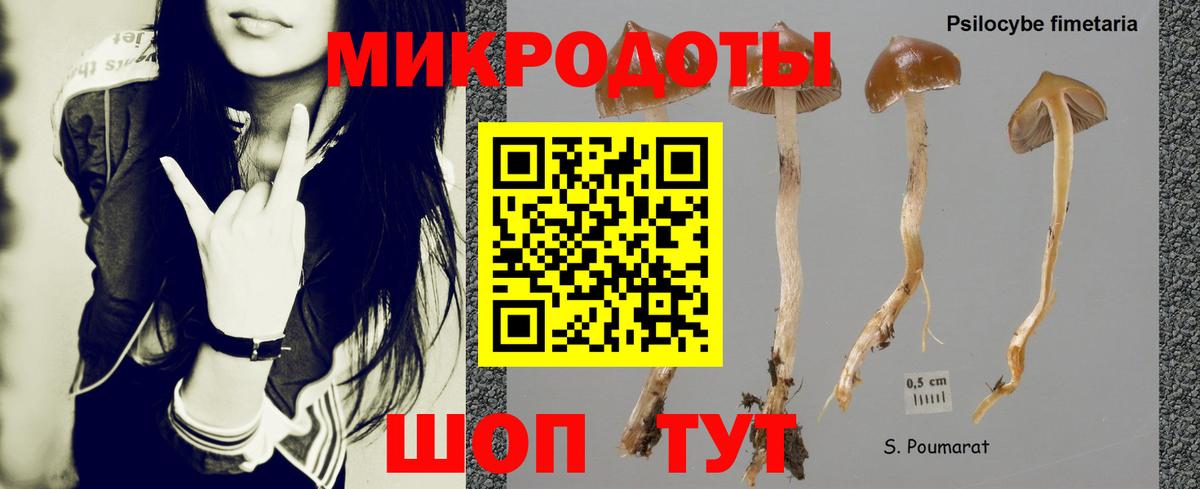 Псилоцибиновые грибы мухоморы  Галлюциногенные грибы MAGIC MUSHROOMS  Вход с VPN  Сочи 